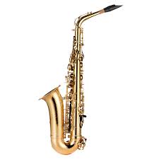 SaksoSaray Rakip Logo